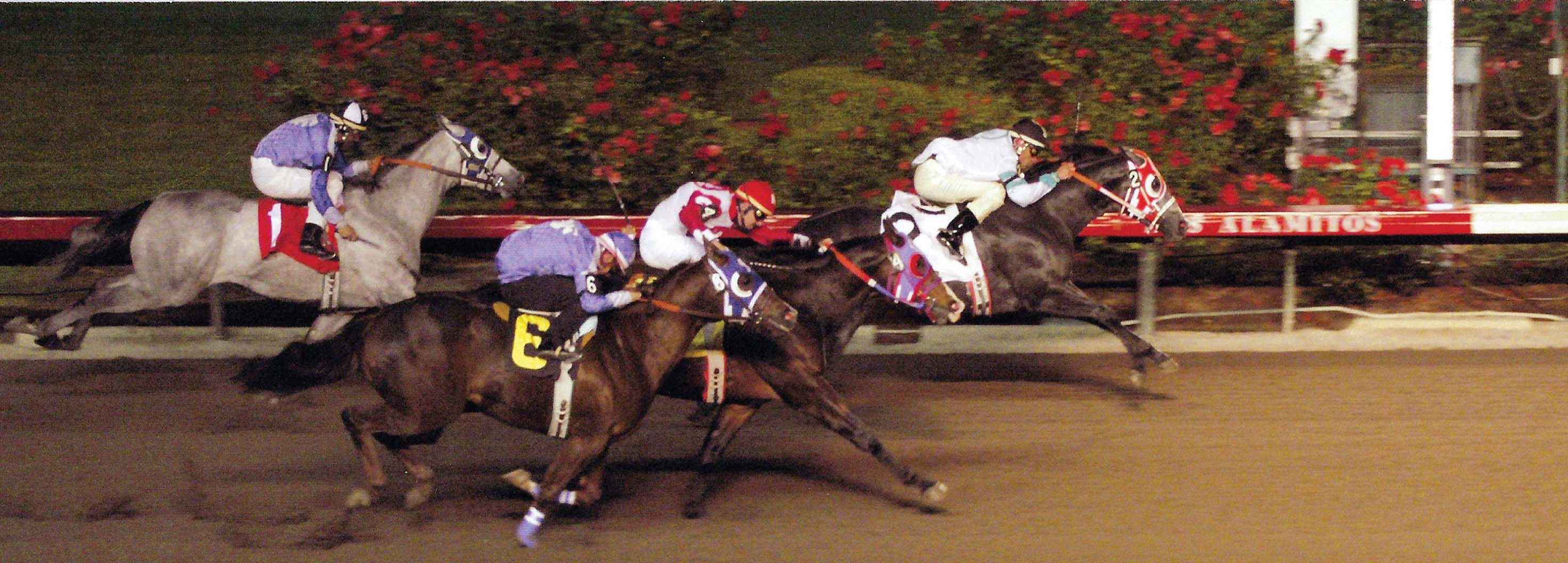 Idaho Champion 2-Year-Old Filly Sensual Lady, shown winning the 2003 Corona Chick Handicap at Los Alamitos.