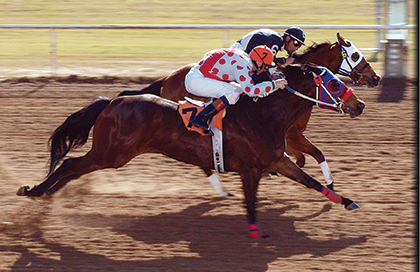 BP Southern Mariah winning the 2009 Black Gold Derby at Blue Ribbon Downs.