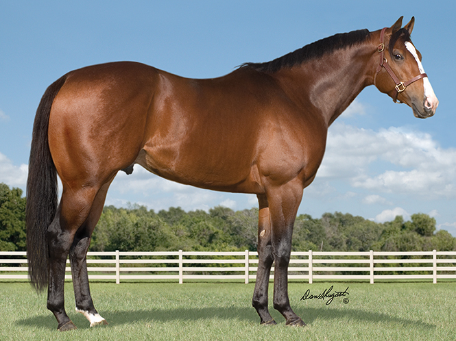 Cartel Success is the grandsire of Southern Electric