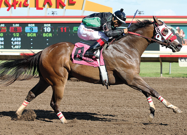Defiant Red Rooster, shown winning the 2014 Mystic Lake Northlands Futurity at Canterbury Park.