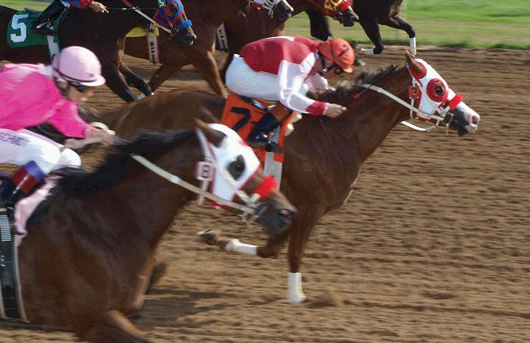 Miss Cartels Success, shown winning the Black Gold 330 Futurity at Blue Ribbon Downs.