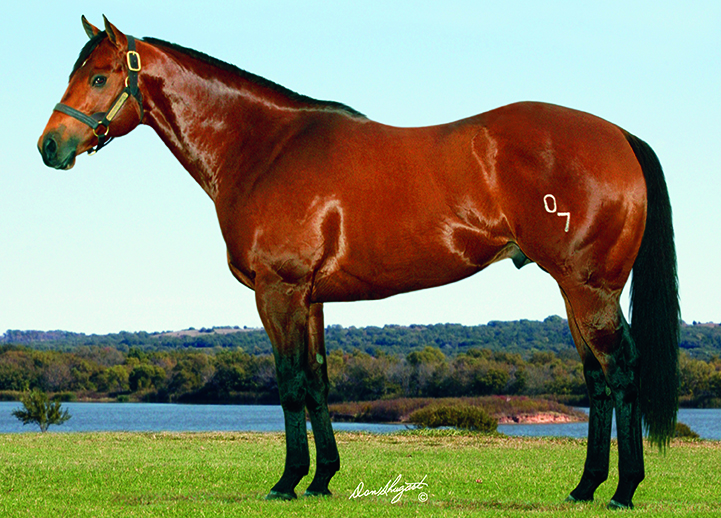 Southern Cartel, the sire of Ze Southern Girl, sired three crops between 2005 and 2007 before succumbing from injuries related to a barn fire.