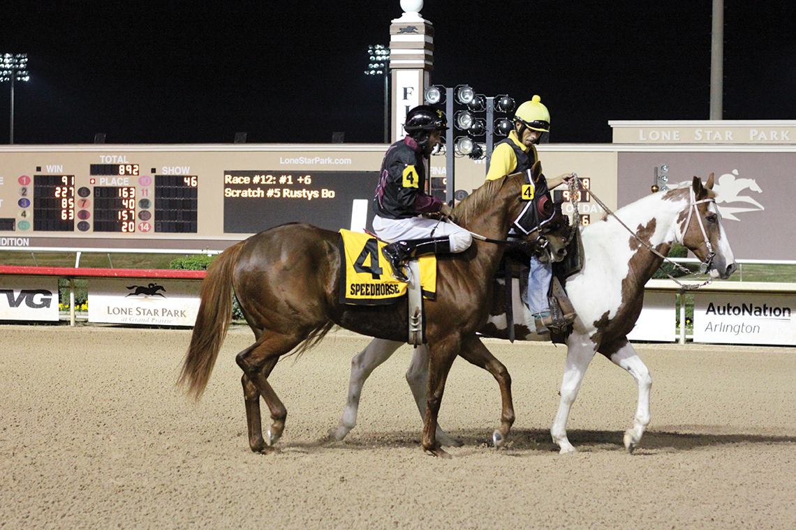 Ze Southern Girl, the dam of Southern Electric, is also the dam of Solid Paint Bred Honor Roll Mare Wired For Sound, shown in her post parade for the 2018 Speedhorse Lone Star Paint & Appaloosa Futurity-G1.