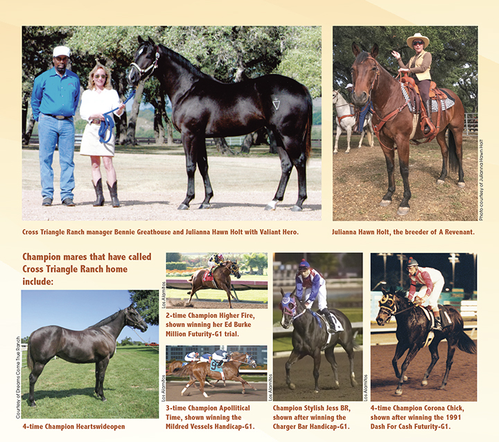 2021 Leading Freshman Sire of the Year A Revenant Speedhorse Magazine