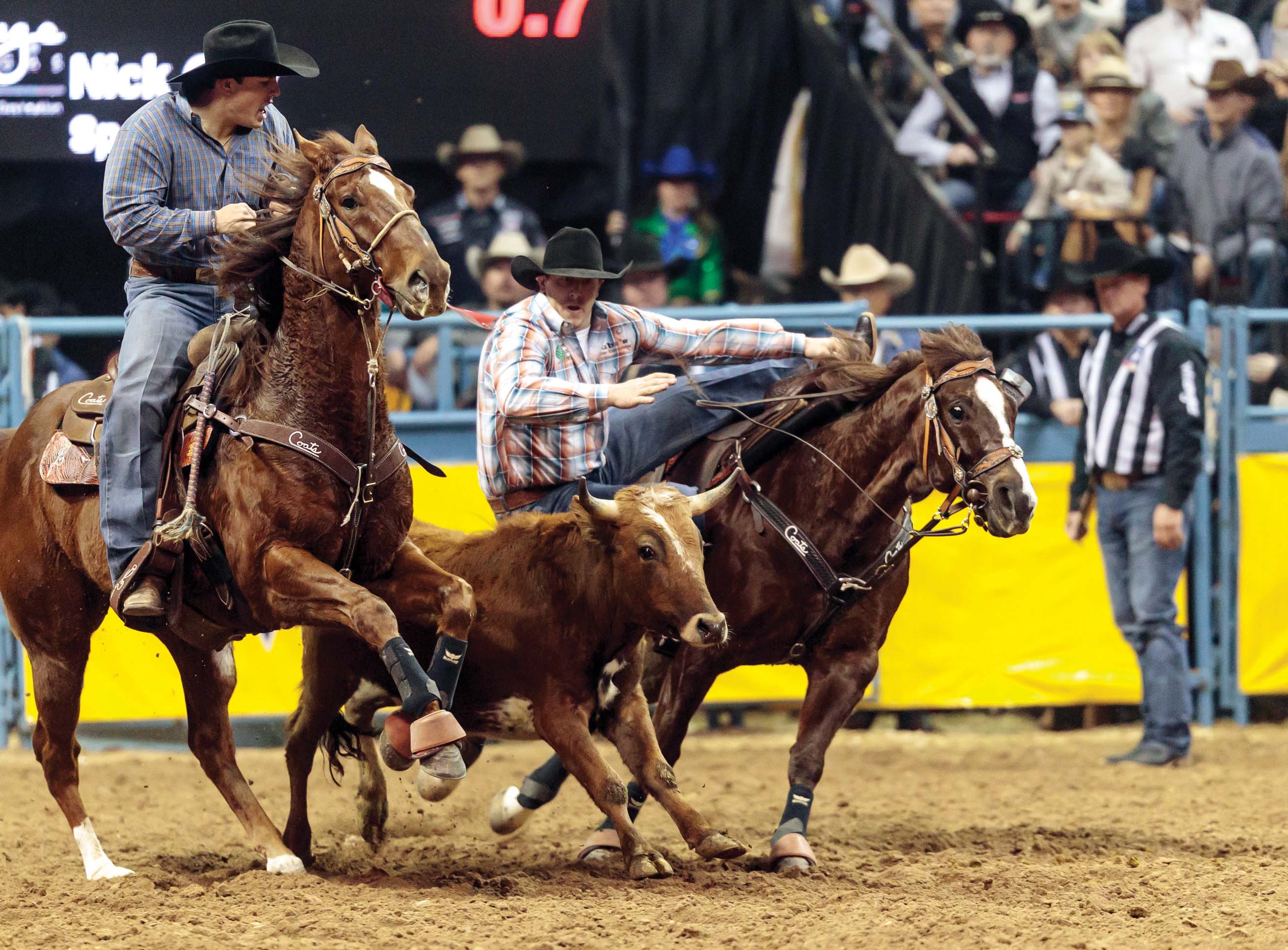 RGR Ryon, aka Maverick, is the #2 PRCA/AQHA Steer Wrestling Horse of the Year. Maverick is by Ralph Ryon, who is out of Fax It by Dash For Cash.