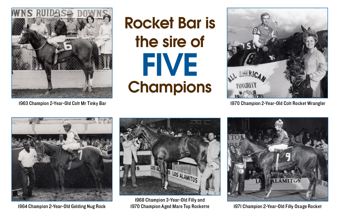 The Story of Rocket Bar, Part 2 - Speedhorse Magazine - Your Global  Connection to Quarter Horse Racing