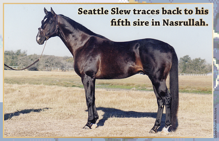 Seattle Slew