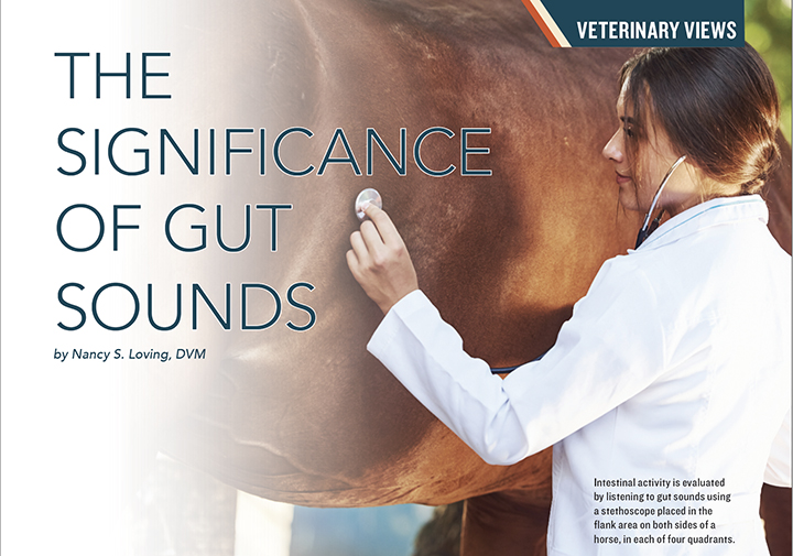 gut sounds