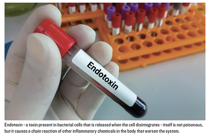 endotoxin