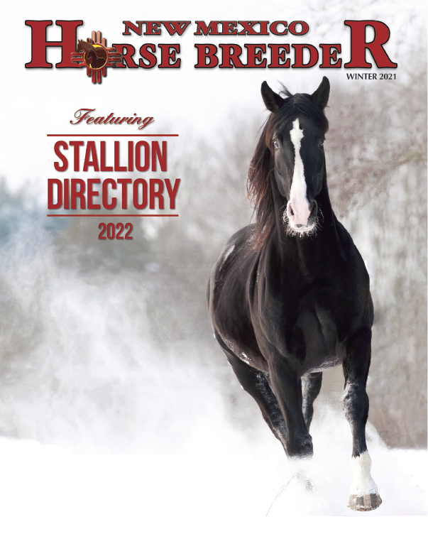 Winter 2021 - NM Stallion Directory 2022