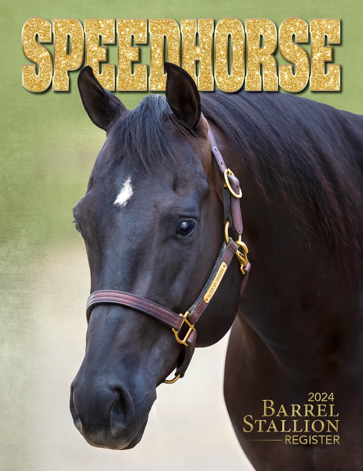 2024 Barrel Stallion Register Speedhorse Magazine Your Global