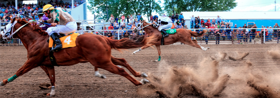 Bucking Horse Sale Racing