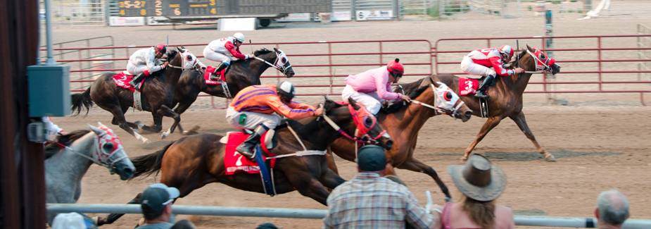 Oneida County Fair