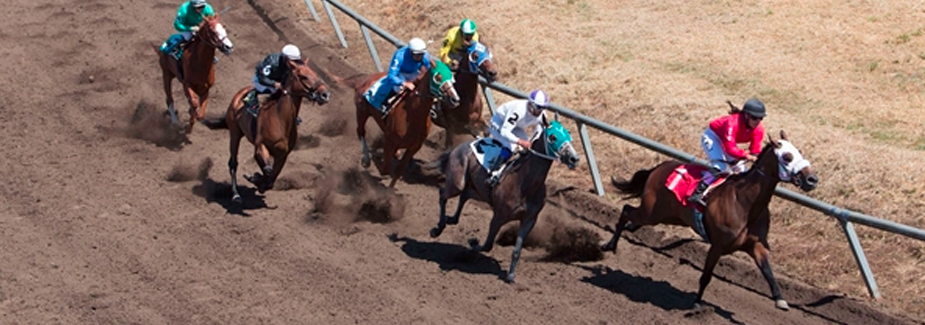 Tillamook County Fair